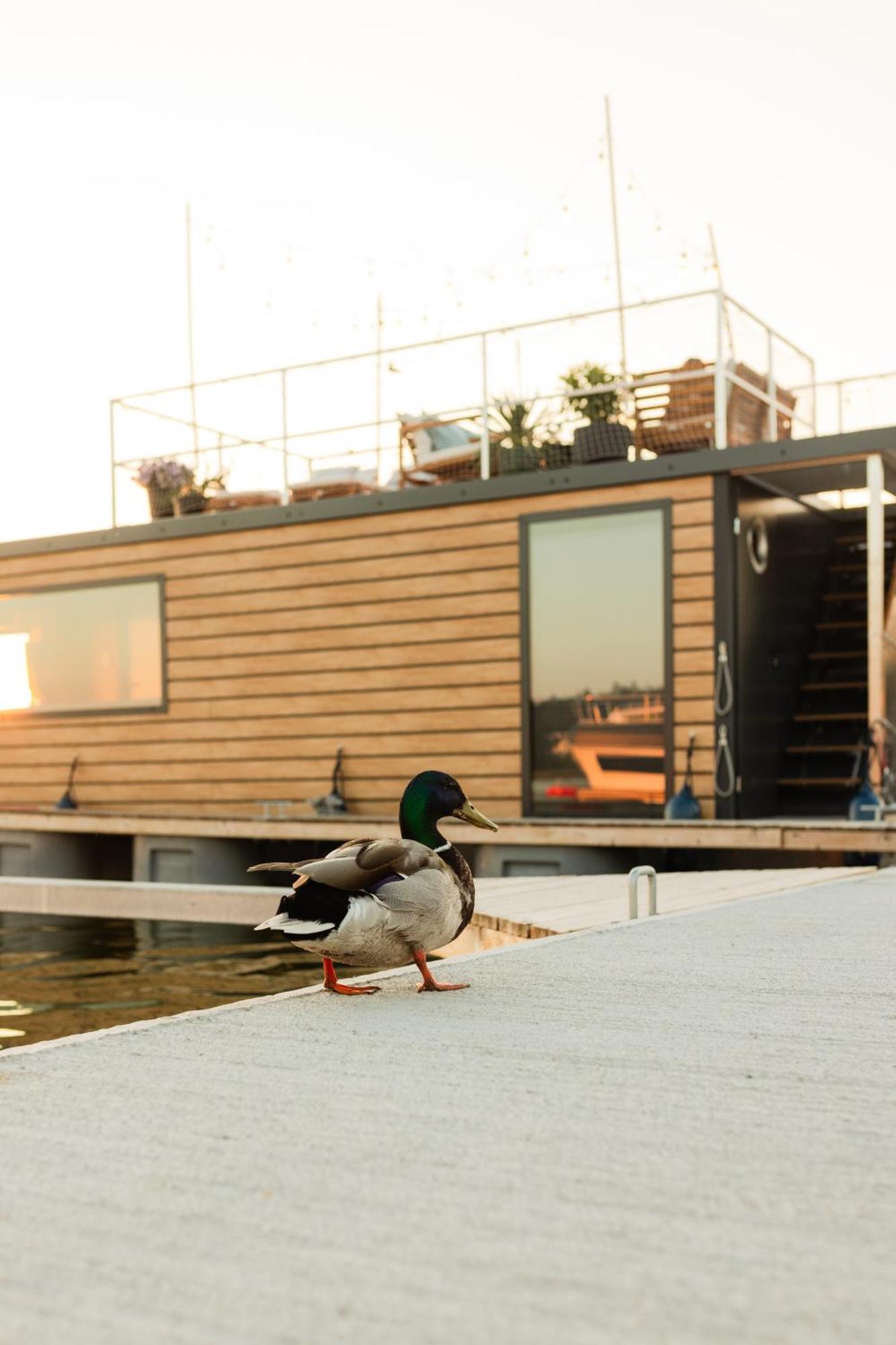 Domek Na Wodzie - Houseboat -Sauna, Taras Na Dachu, Dwie Sypialnie Mikołajki Esterno foto
